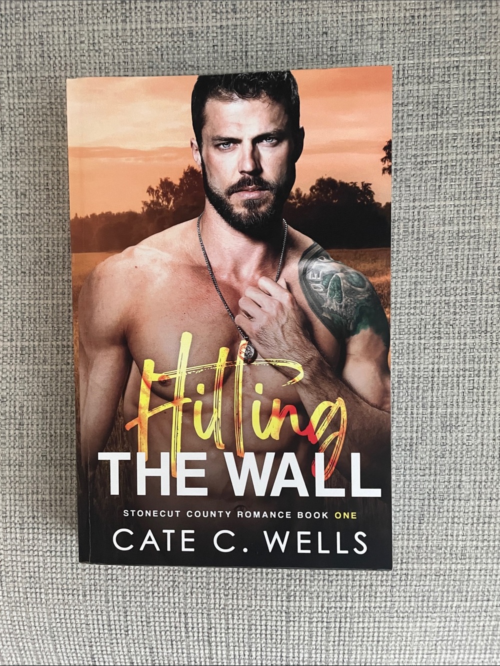 Hitting The Wall • Cate C. Wells Paperback Book